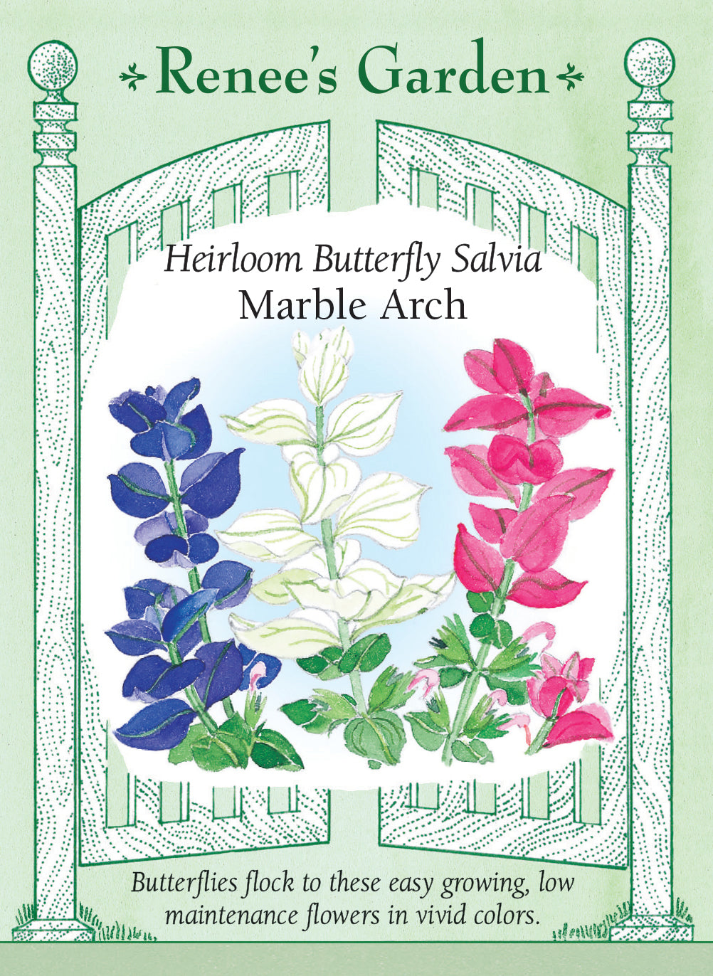 Seed packet for Heirloom Butterfly Salvia Marble Arch with floral illustration and 'Renee's Garden' branding.