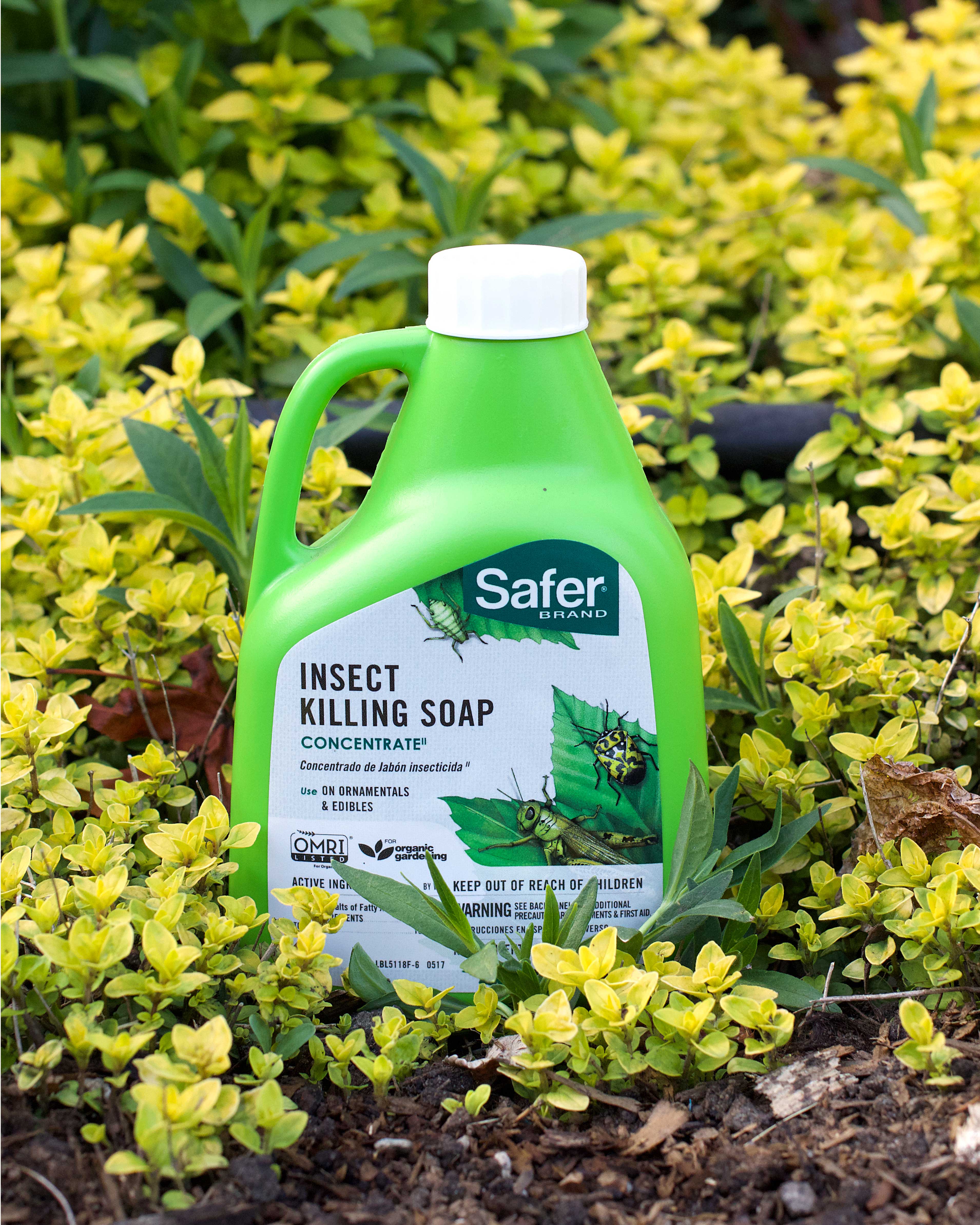 Nontoxic Safer Insect Killing Soap