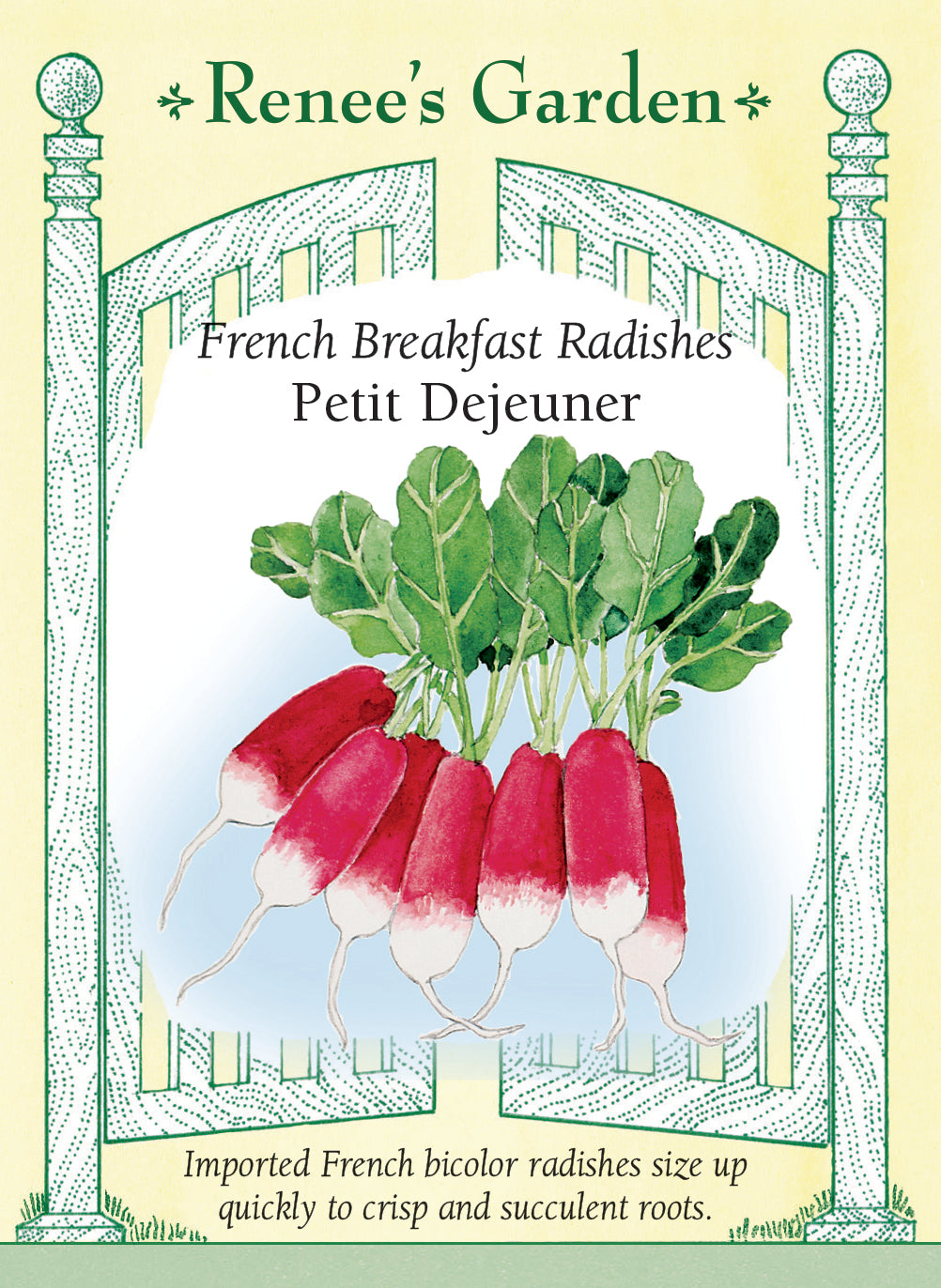 Seed packet for French Breakfast Radishes Petit Dejeuner with illustration of radishes and text on a decorative background.