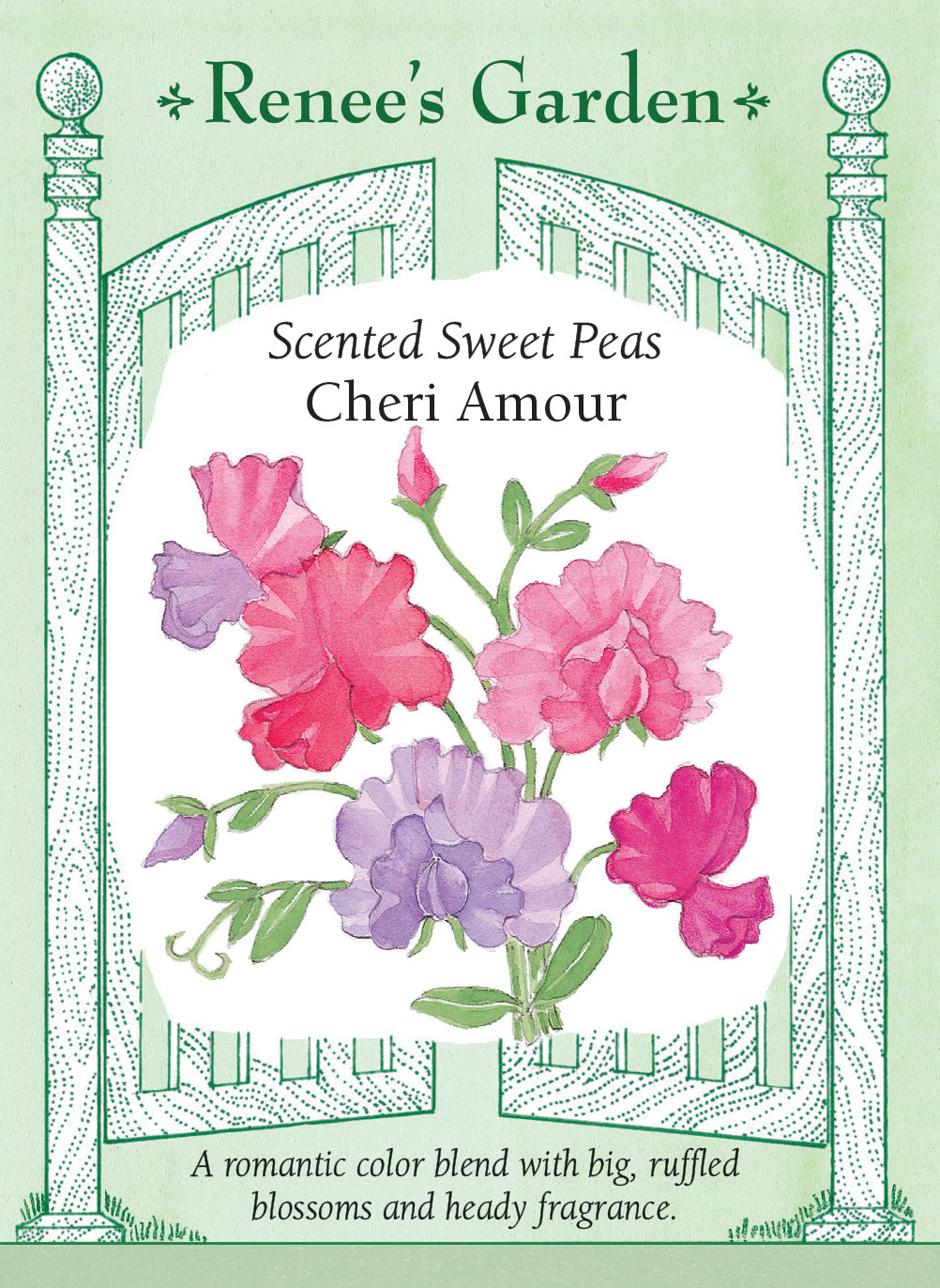 Seed packet of Scented Sweet Peas mix  Cheri Amour with floral illustration and decorative border.