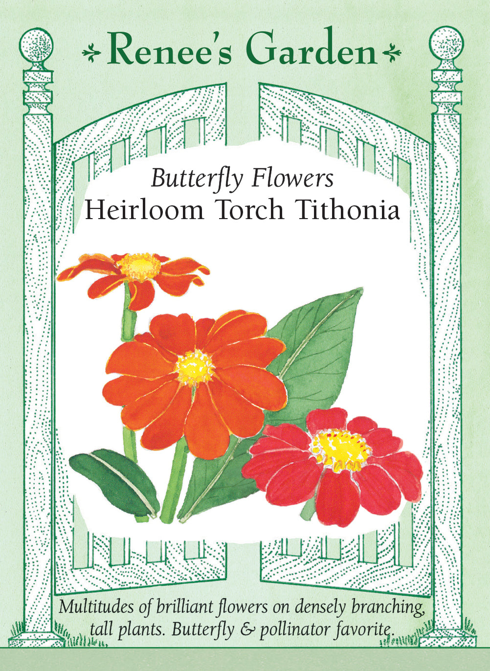 Butterfly Flowers Heirloom Torch Tithonia packaging with floral illustration and 'Renee's Garden' branding.