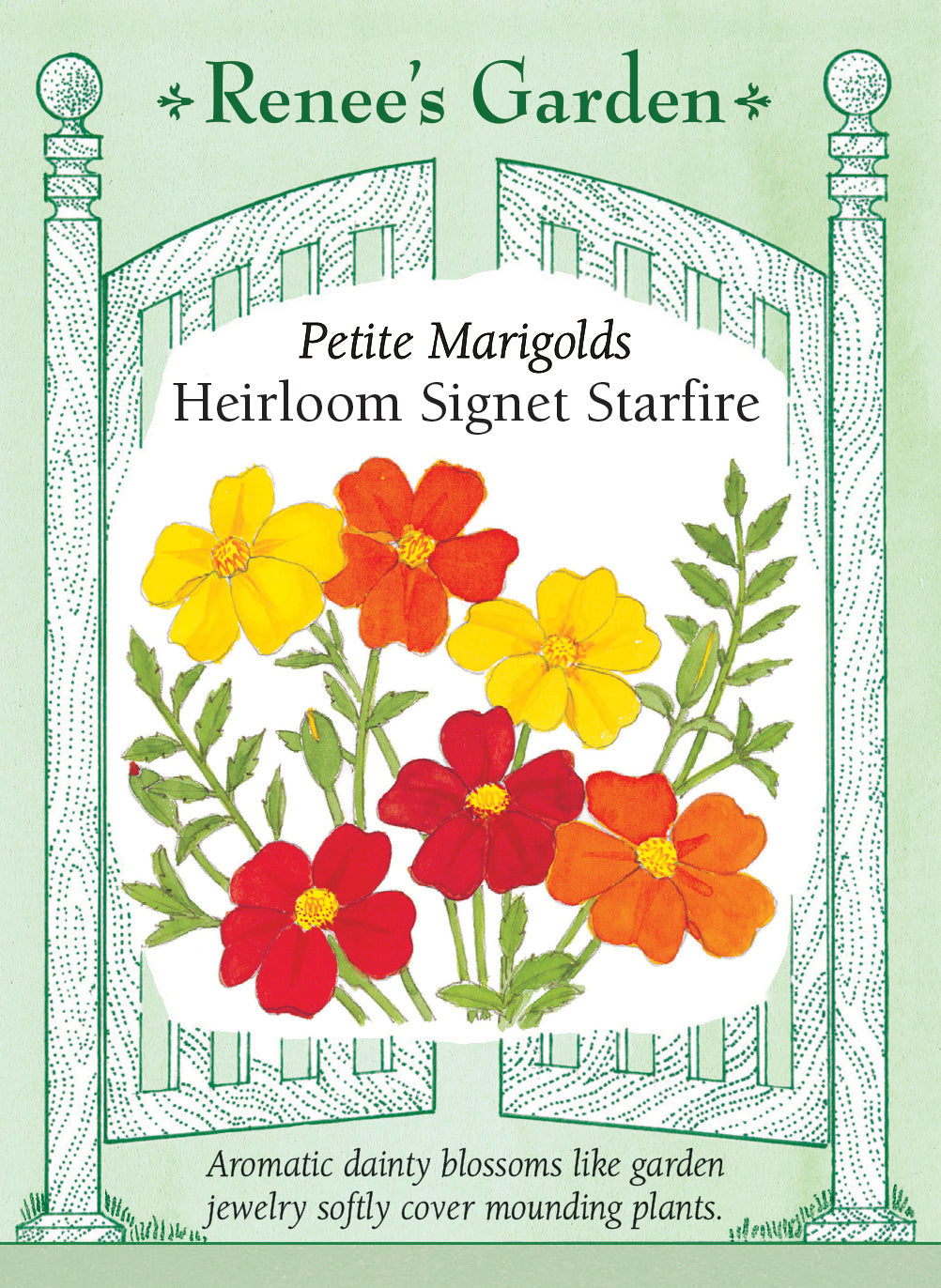 Heirloom Signet Starfire