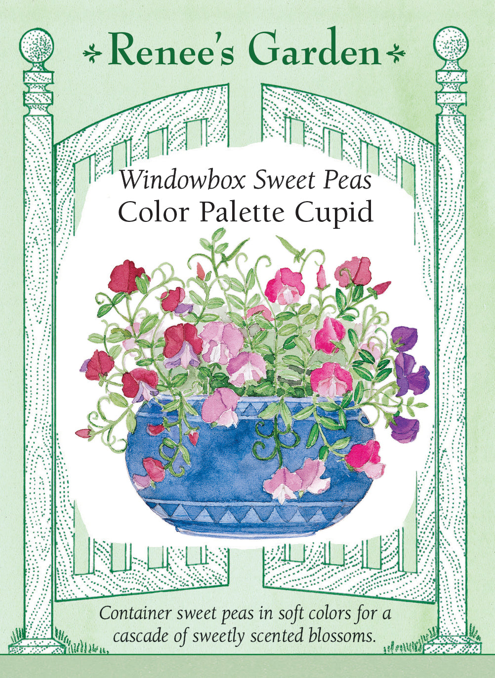 Seed packet with sweet peas labeled 'Windowbox Sweet Peas Color Palette Cupid"