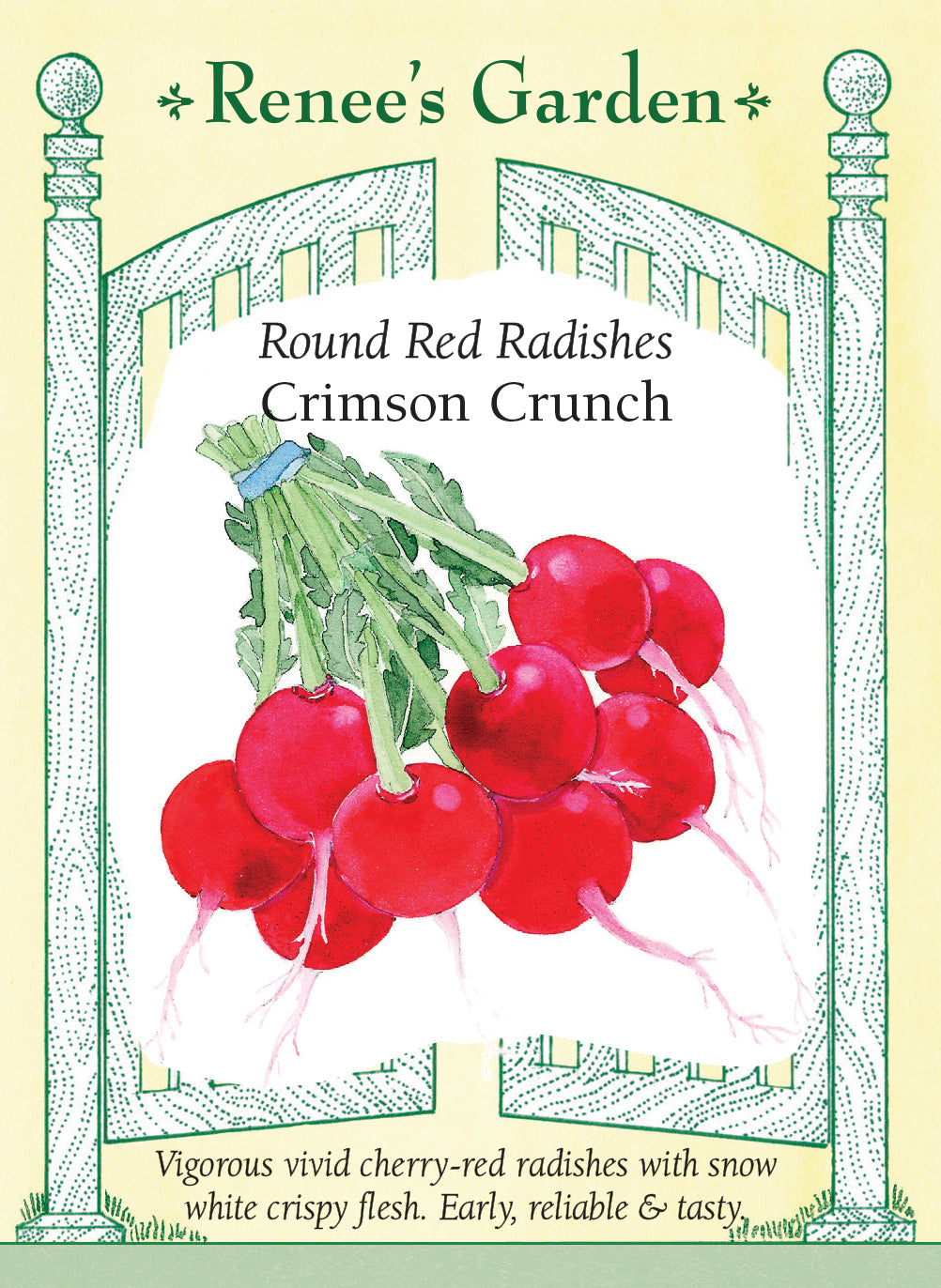 Seed packet for Round Red Radishes Crimson Crunch with illustration and text on a light yellow background.