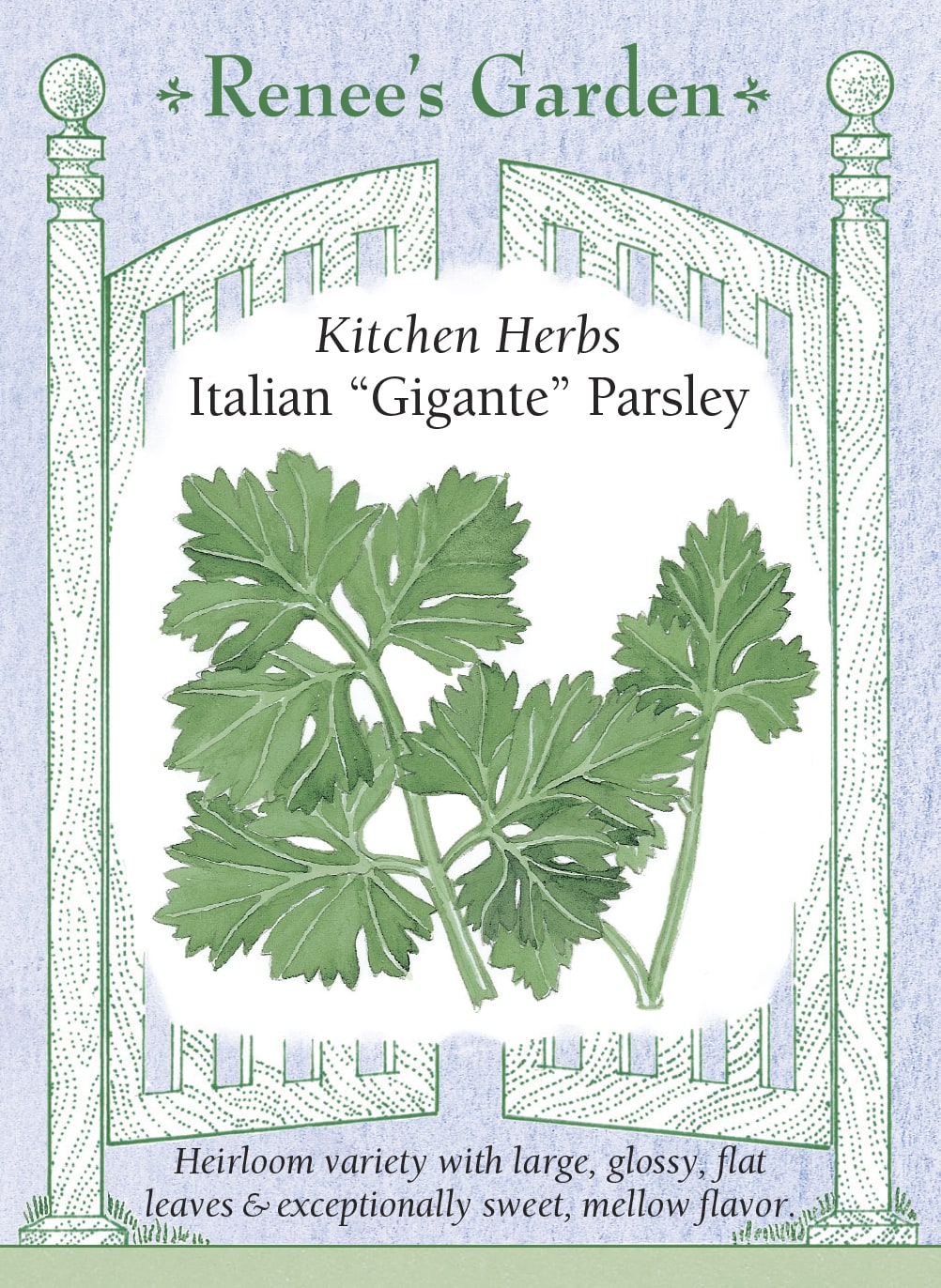 Italian Gigante Parsley
