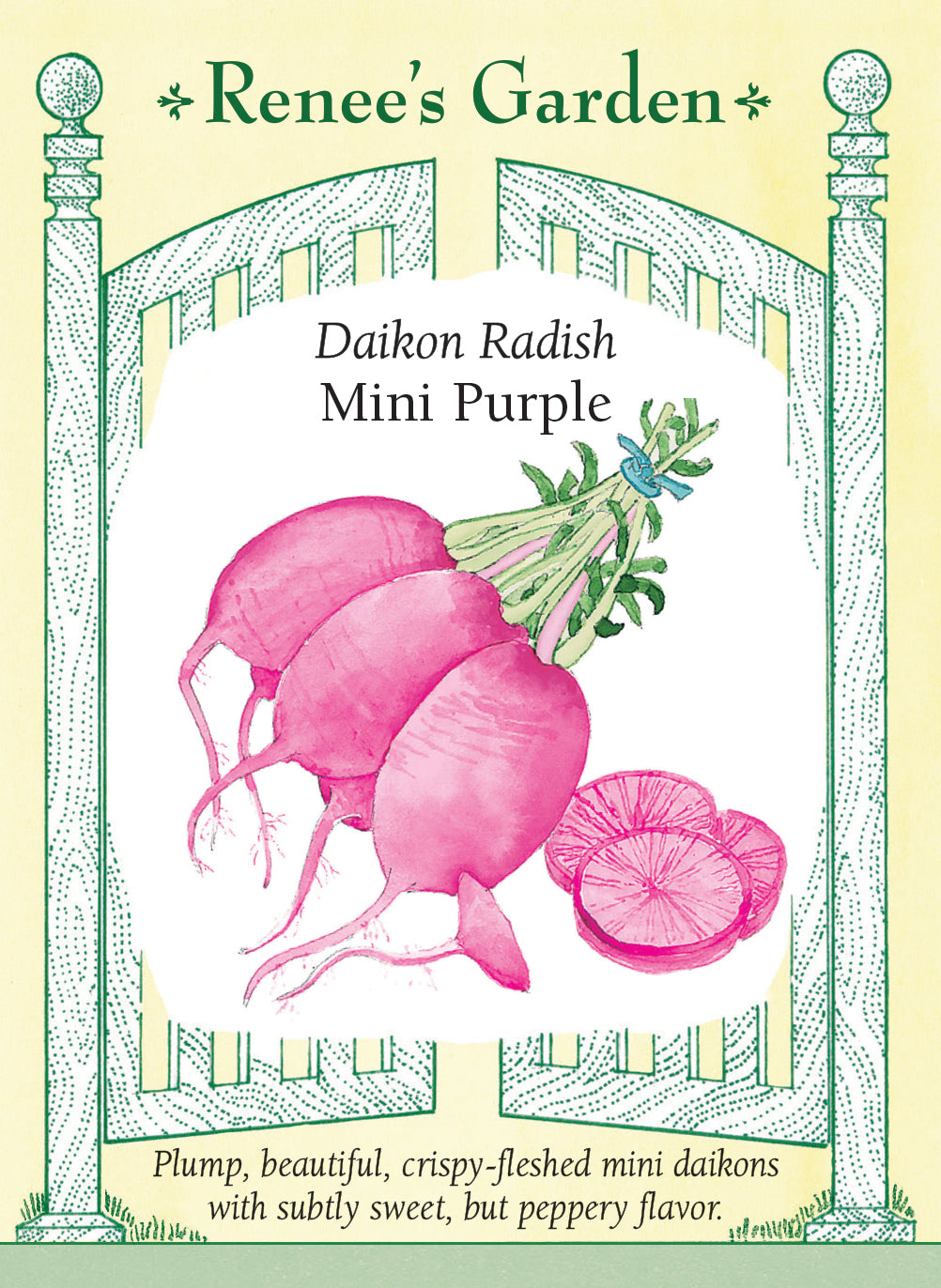 Seeds packet for Daikon Radish Mini Purple with illustration and text on a decorative border.