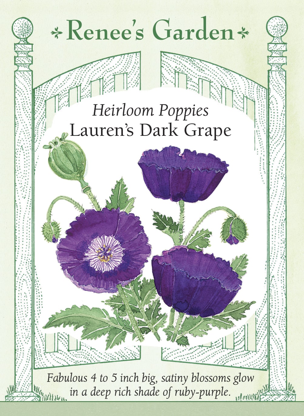 Lauren's Dark Grape