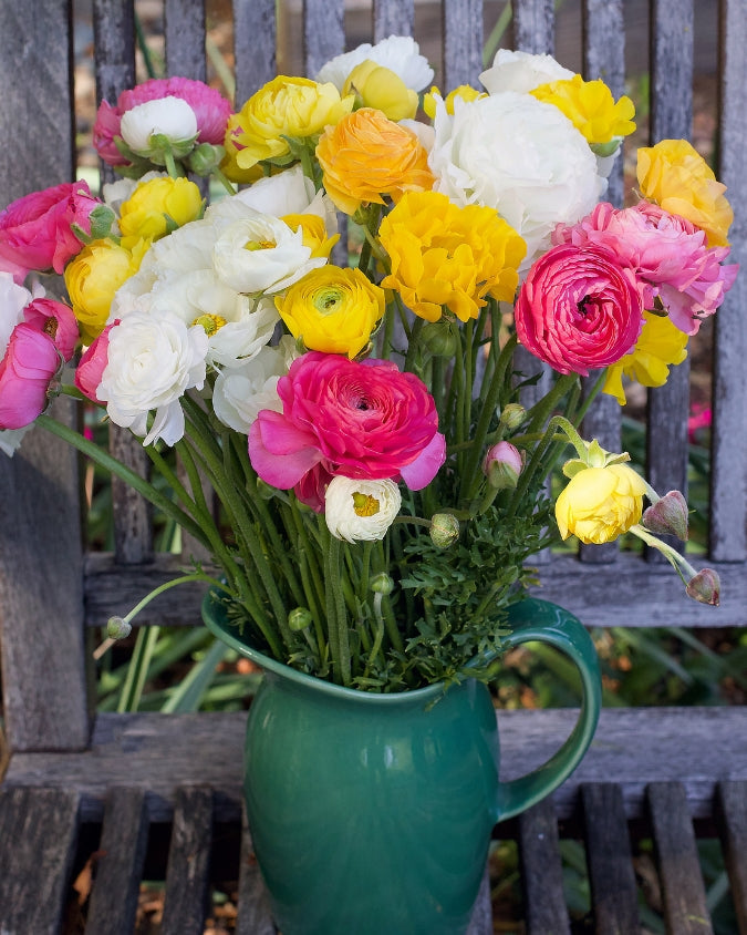 Jumbo Spring Joy