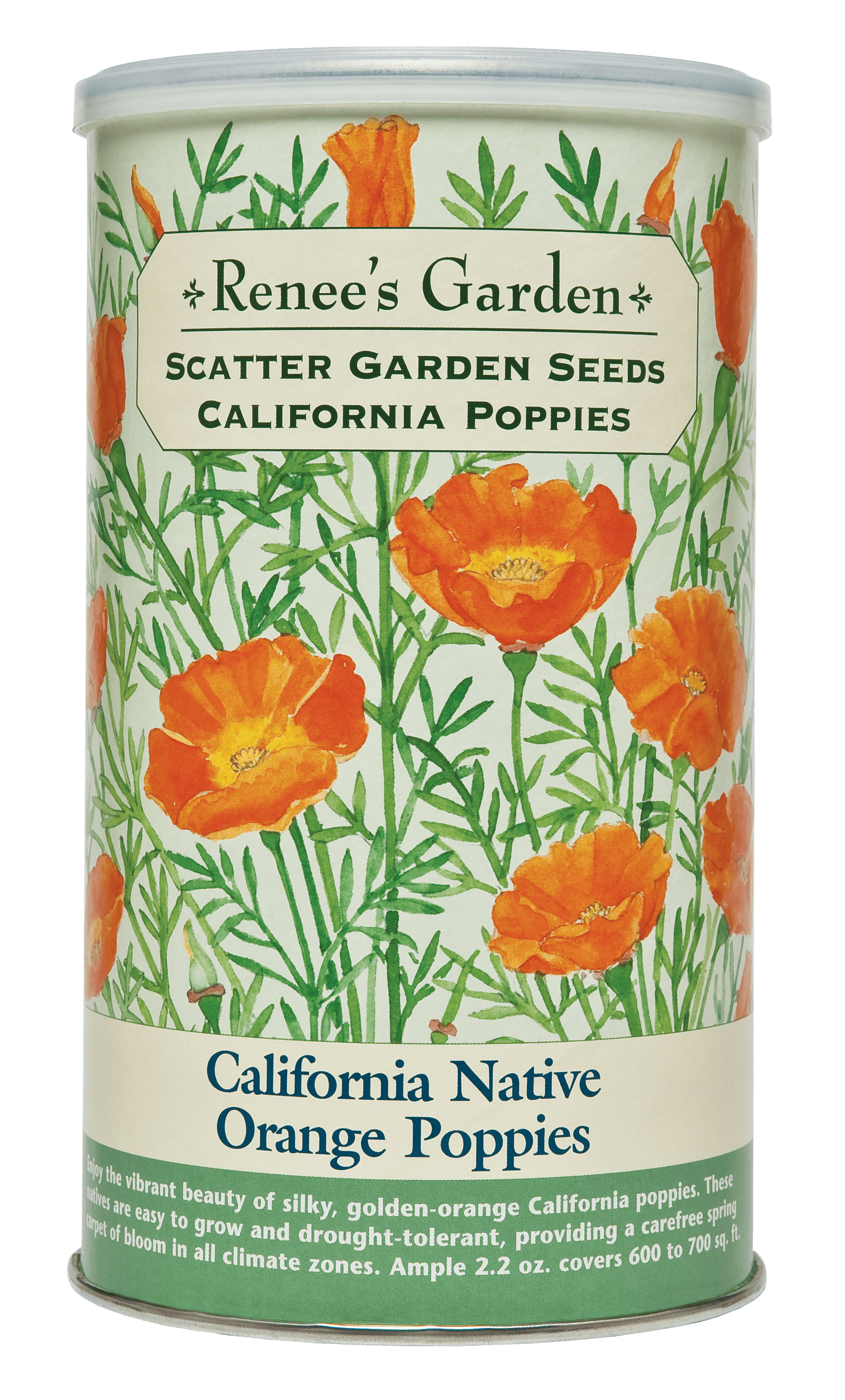 California Native Orange Poppies