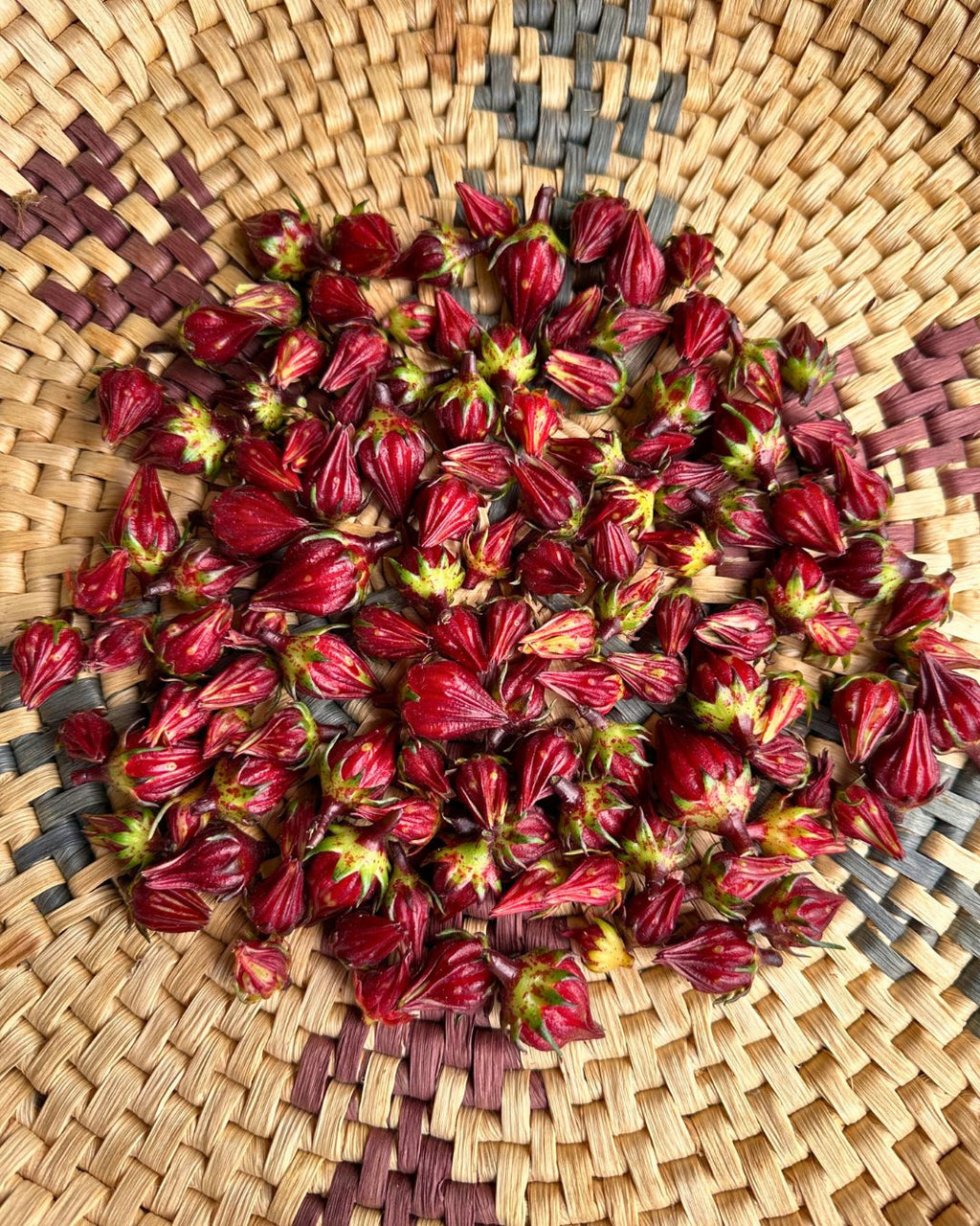 Zinger Hibiscus