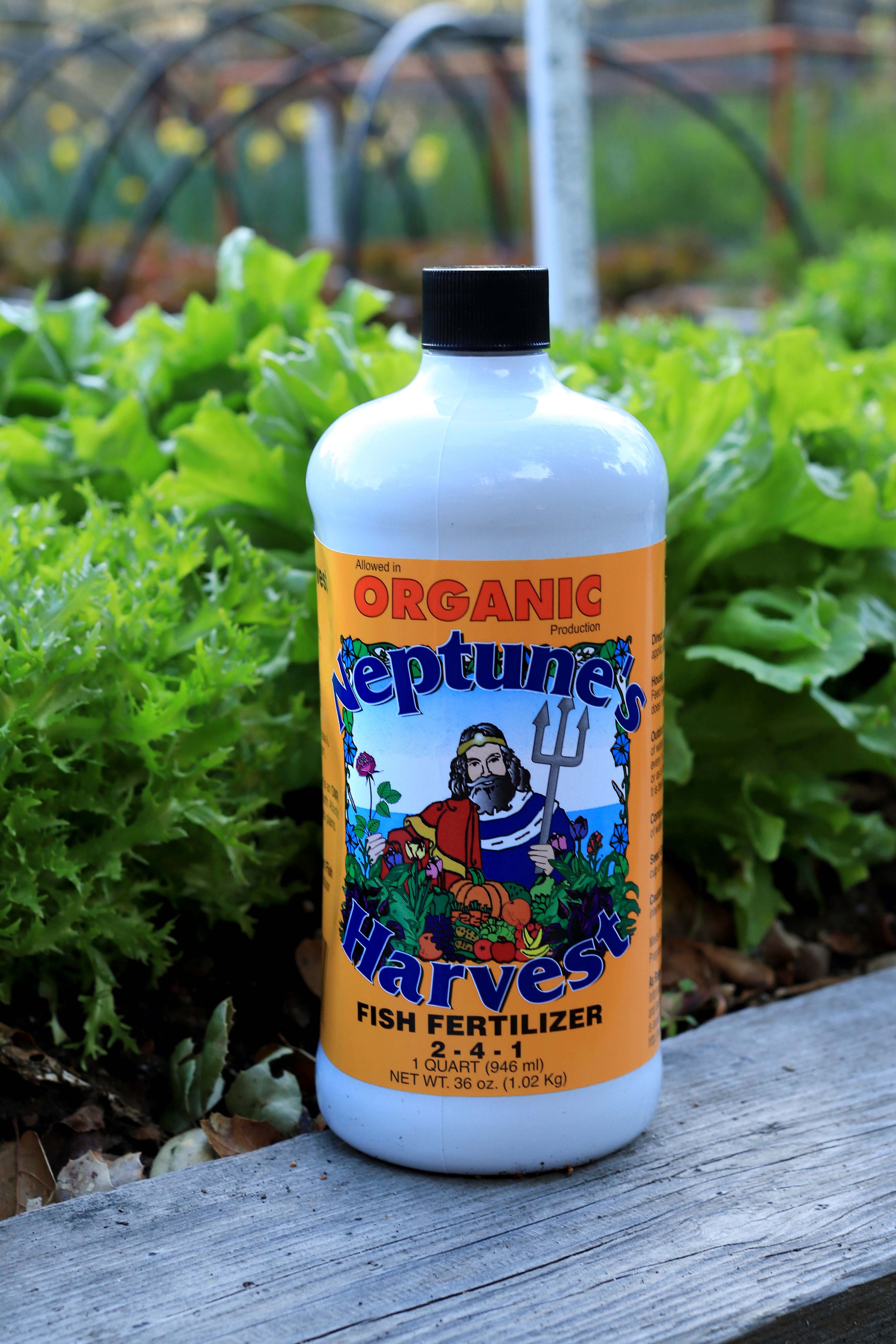 Neptune’s Harvest Hydrolyzed Fish Fertilizer 2-4-1