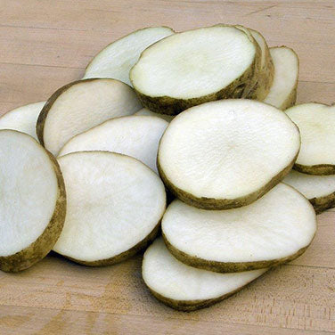 Heirloom Russet Burbank