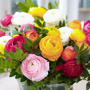 Jumbo Spring Joy